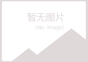 黑山县错过咨询有限公司